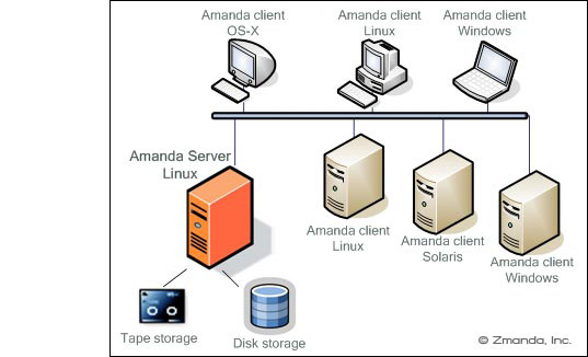 Chart-amanda-network-no-brd.jpg