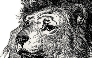 Logo.lion.avatar.png
