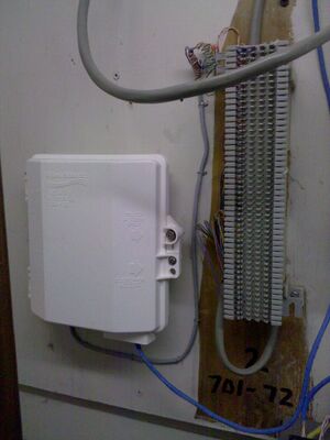 2010-03-22 18.26.15.jpg