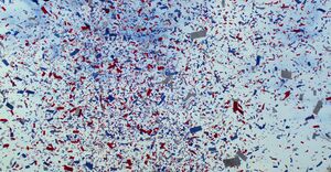 Confetti.jpg