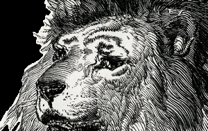 Logo.lion.avatar.gif