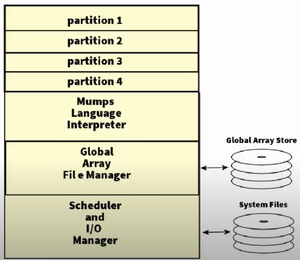 diagram of the MUMPS system architecture