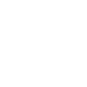 TwitterLogo white.png